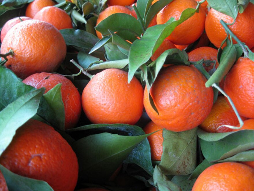 fruit-urban-farming.jpg