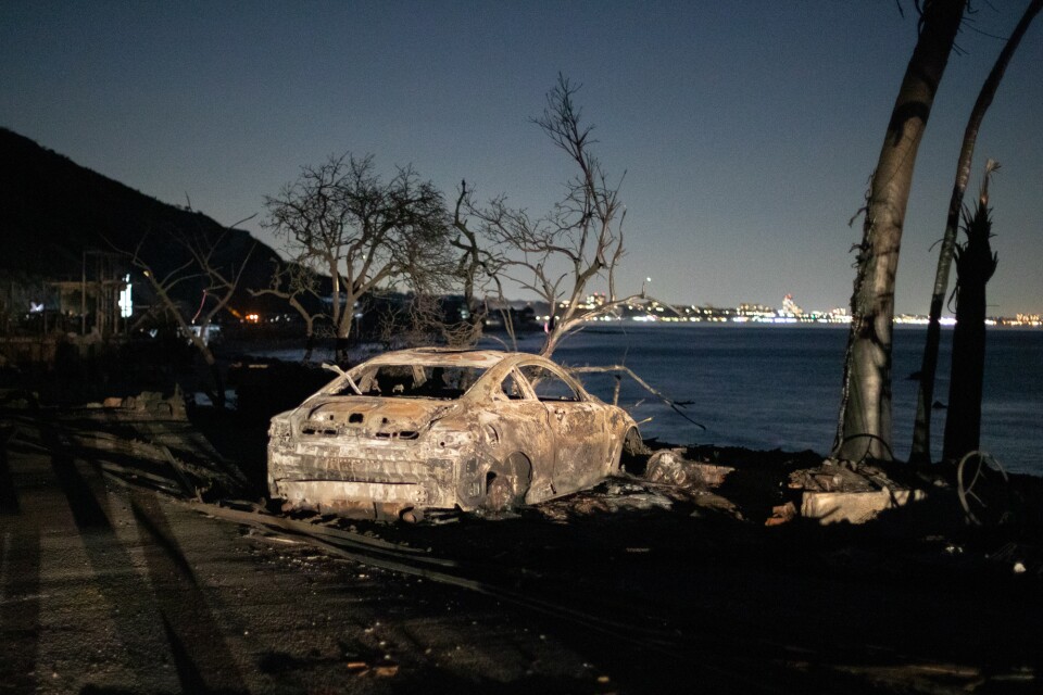 A burned car sits on a lot of land that's burned with charred trees. It faces the ocean.