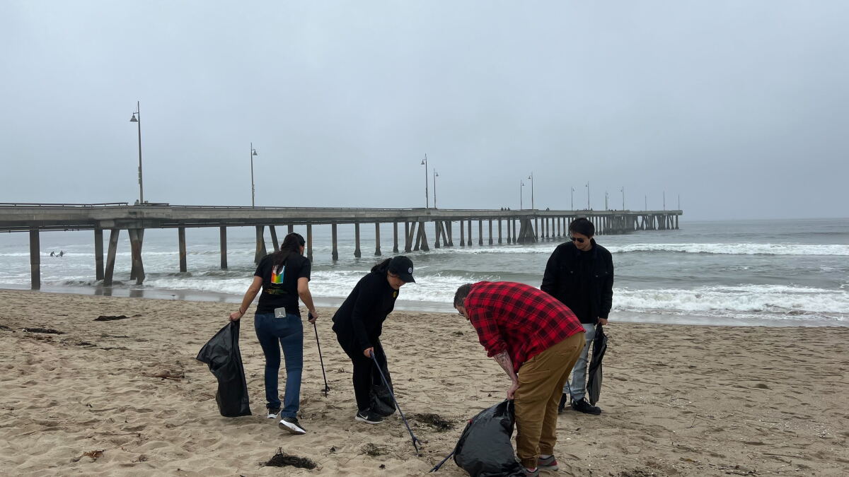 Venice Beach Clean Up And How To Be A Friend Of The Ocean - Vimarsana News