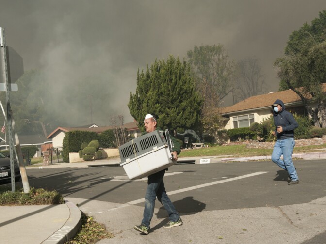 Chu Godinez carries an animal crate containing a chicken as he and Paco Santan evacuate near the edge of the Creek Fire in Lakeview Terrace on Dec. 5, 2017.