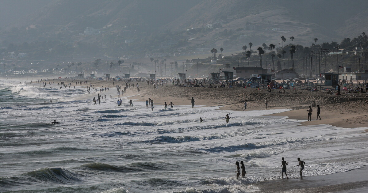 Coverage image for: About that hurricane.