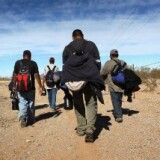 Undocumented Mexican immigrants walk through the Sonoran Desert after illegally crossing the U.S.-Mexico border