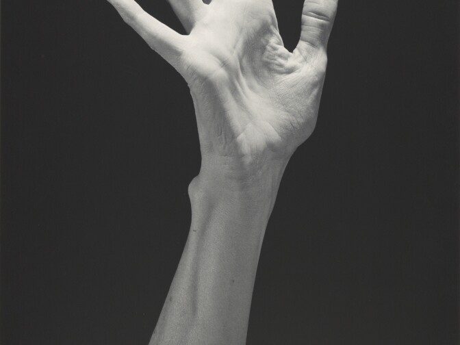 Lucinda's Hand, 1985
Robert Mapplethorpe 