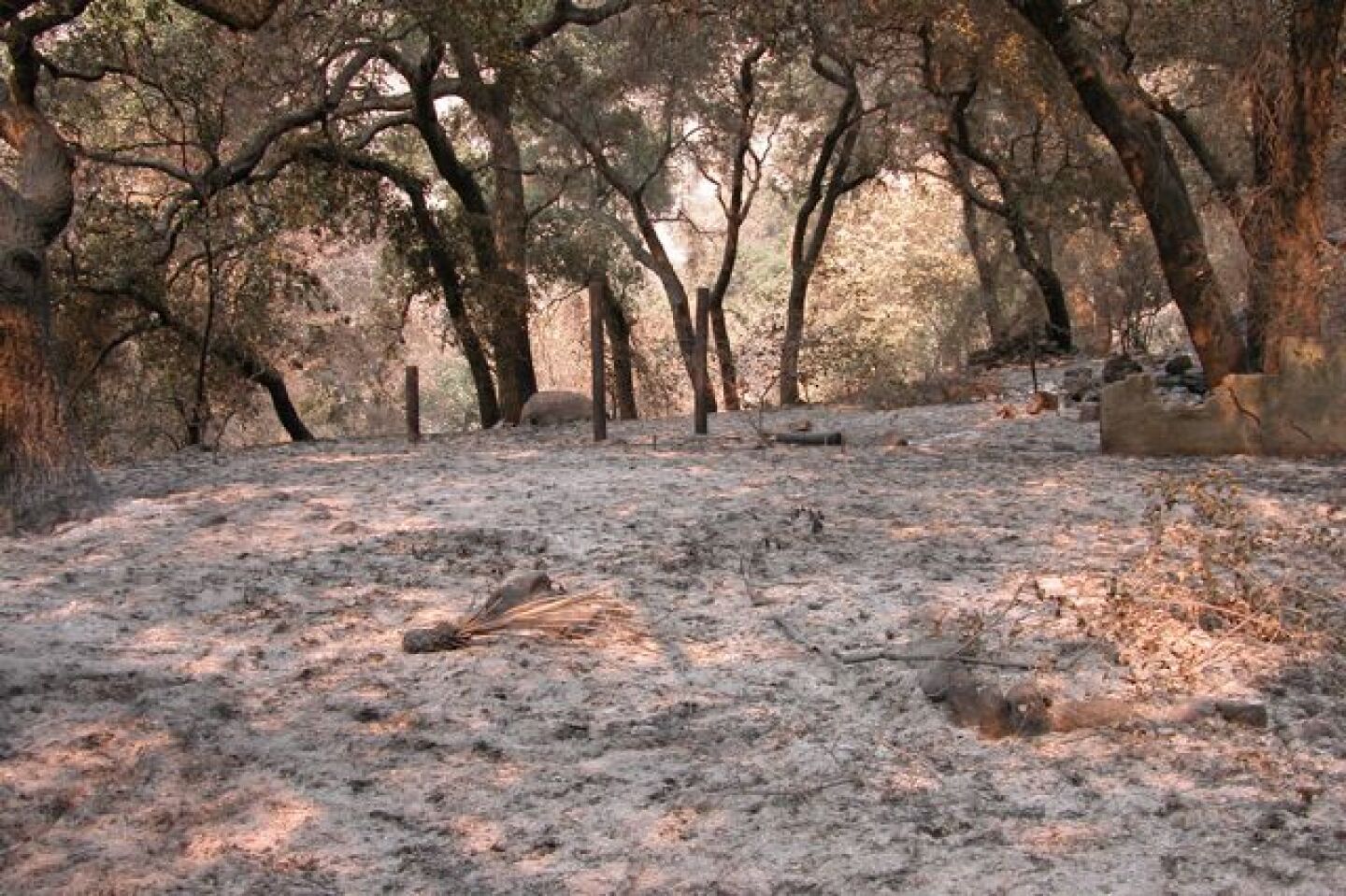 station-fire-mudslides.jpg