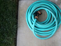 WALNUT CREEK, CA - APRIL 07:  A coiled up hose sits next to a lawn on April 7, 2015 in Walnut Creek, California.  As California enters its fourth year of severe drought, EBMUD and water districts throughout the state are assisting customers with finding ways to reduce water use at their homes. California residents are facing a mandatory 25 percent reduction in water use.  (Photo by Justin Sullivan/Getty Images)