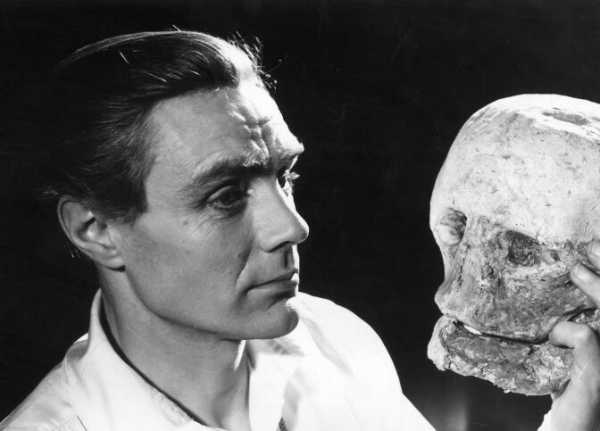 1947: An actor contemplates Yorick's skull, in the classic scene from 'Hamlet.'