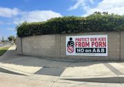 A banner campaign sign reads in big block letters, "PROTECT OUR KIDS FROM PORN" and "NO on A & B."