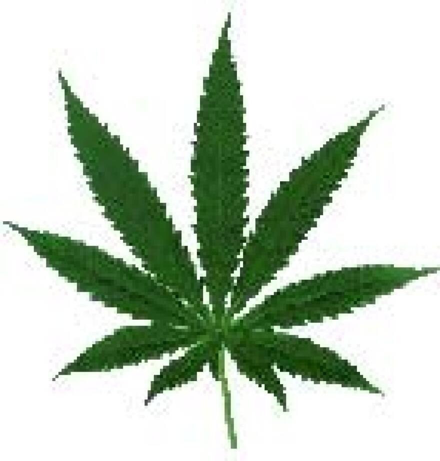 marijuana_leaf.jpg