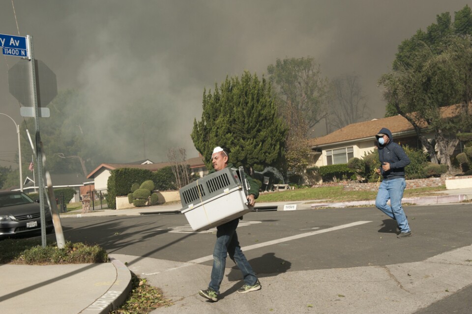 Chu Godinez carries an animal crate containing a chicken as he and Paco Santan evacuate near the edge of the Creek Fire in Lakeview Terrace on Dec. 5, 2017.