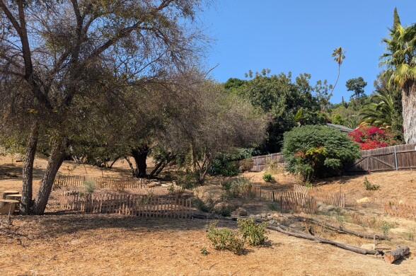 The photo shows a dry, semi-rural landscape with a mix of trees, shrubs, and open dirt-covered ground. The area appears to be in a warm, possibly Mediterranean or arid climate, as suggested by the dry grasses, sparse vegetation, and types of plants like palm trees and drought-tolerant shrubs.