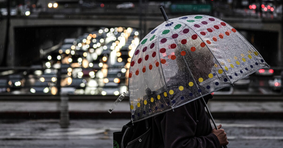 Embracing the Refreshing Rain: How the Latest Showers Revitalize Our World Embracing the Refreshing Rain: How the Latest Showers Revitalize Our World