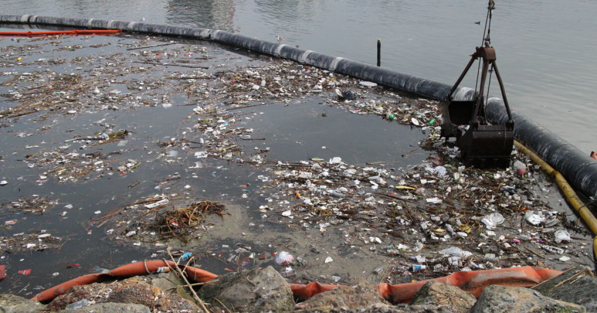 LA Rain: Billions of gallons of polluted runoff likely to flow into the ...