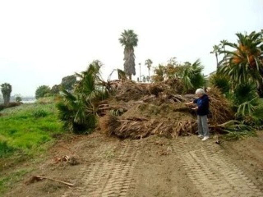 2Hconstruction-wetlands.jpg