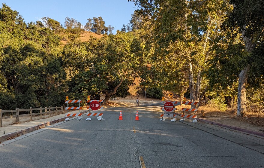 Signs and traffic cones signal a road closure on a road in Griffith Park lined with trees.