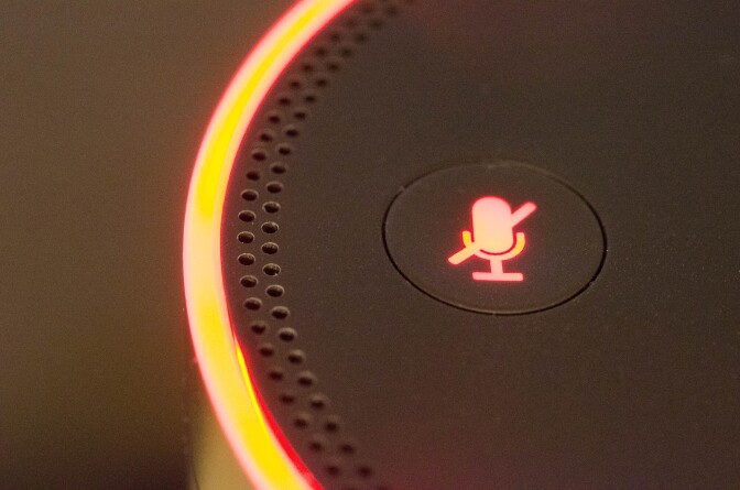 The mute button on the Amazon Echo.