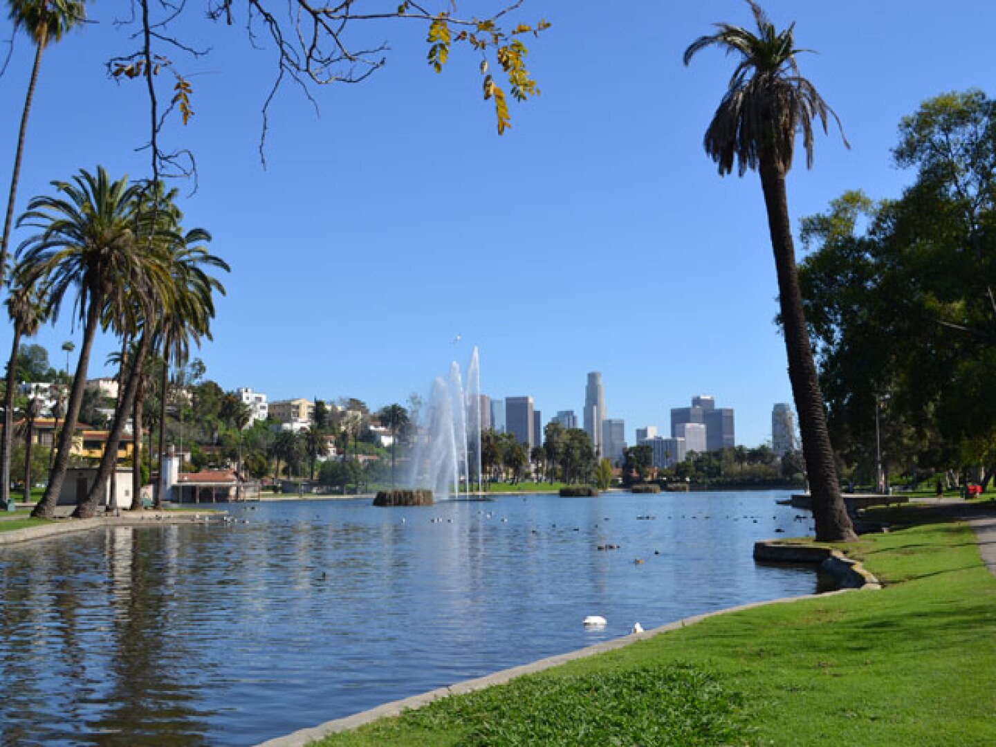 Ten Things You May Not Know About Echo Park LAist