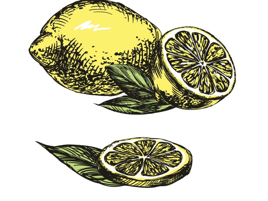 A hand drawn lemon, one whole one sliced. Both are yellow.