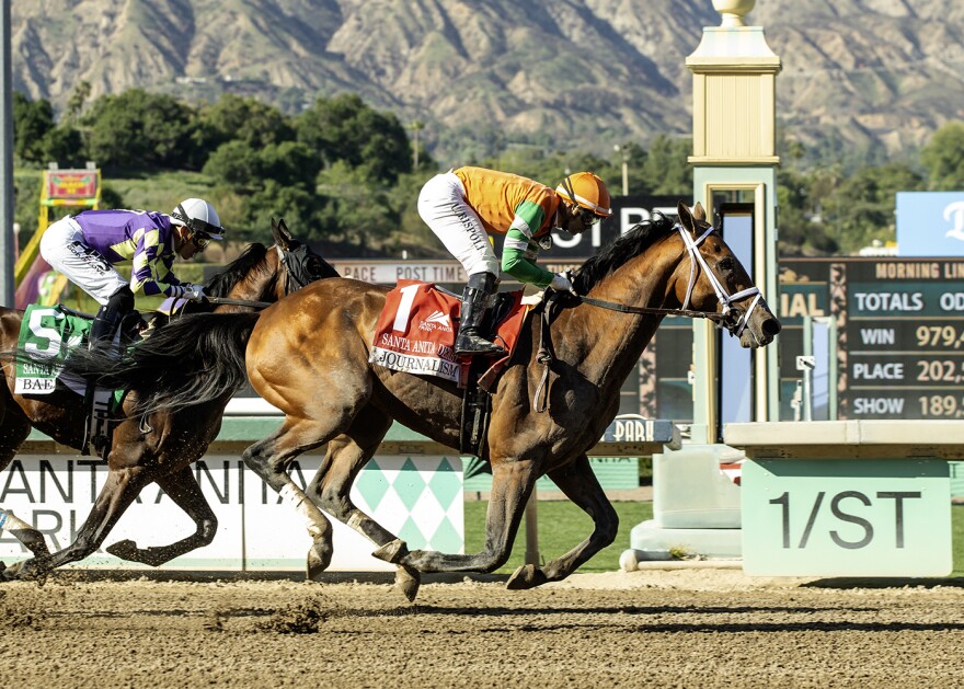 A brown horse with a dark mane. ridden by a jockey wearing orange, runs on a race track with mountains in the background.