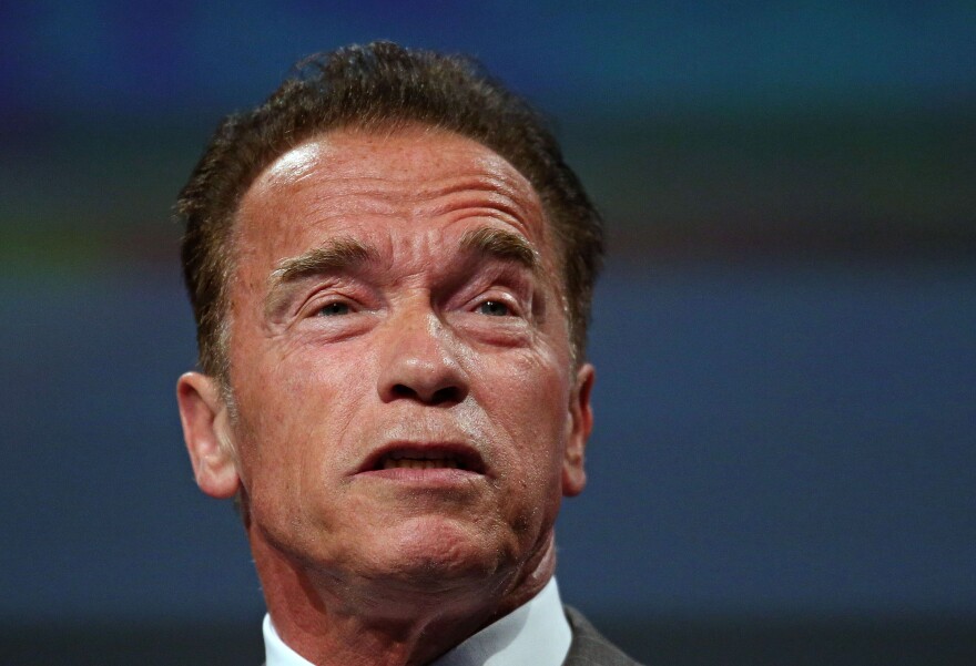 Arnold Schwarzenegger speaks at the 2013 Financial Education Summit at the Melbourne Convention Centre on June 14, 2013 in Melbourne, Australia.