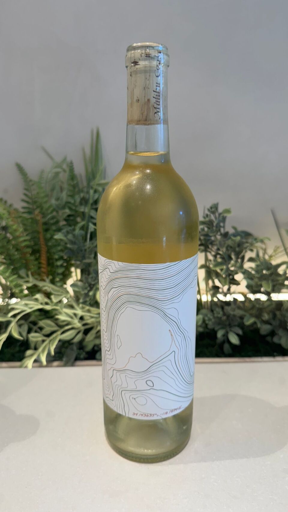 A bottle of white wine on a white counter top in front of some plants. 