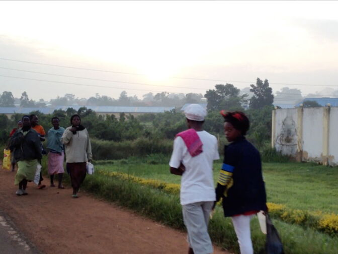 The blue roofs of a Chinese-owned steel recycling plant on the road between Kampala and Jinja in Uganda. 