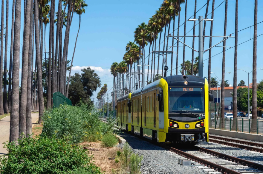 A train runs on tracks between two long rows of palm trees.