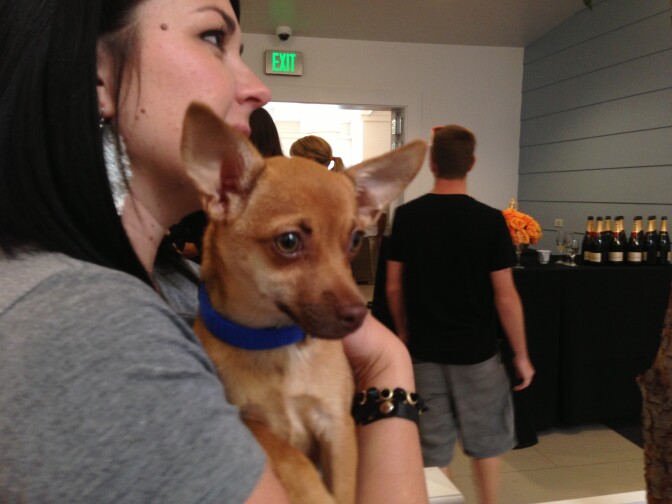 Volunteer Candi Crawford holds Chandon during the NKLA Pet Adoption Center's grand opening event. 