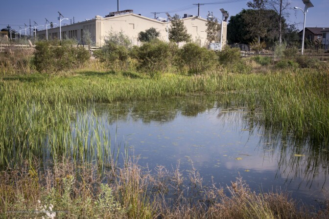 South Los Angeles Wetlands Park, LACMA's new satellite campus in South L.A.