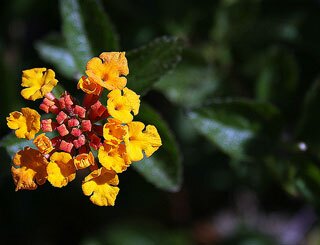 5b2bb3244488b30009268799-original.jpg