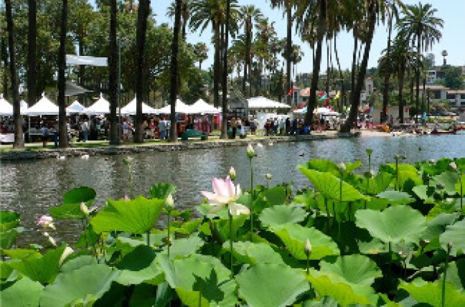 Photo from last year's Lotus Festival, when the lotus flowers were in bloom.