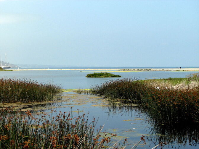 Low dissolved oxygen levels put stress on marine life in Malibu Lagoon, state officials say. Some conservationists counter that the ecosystem is functioning.