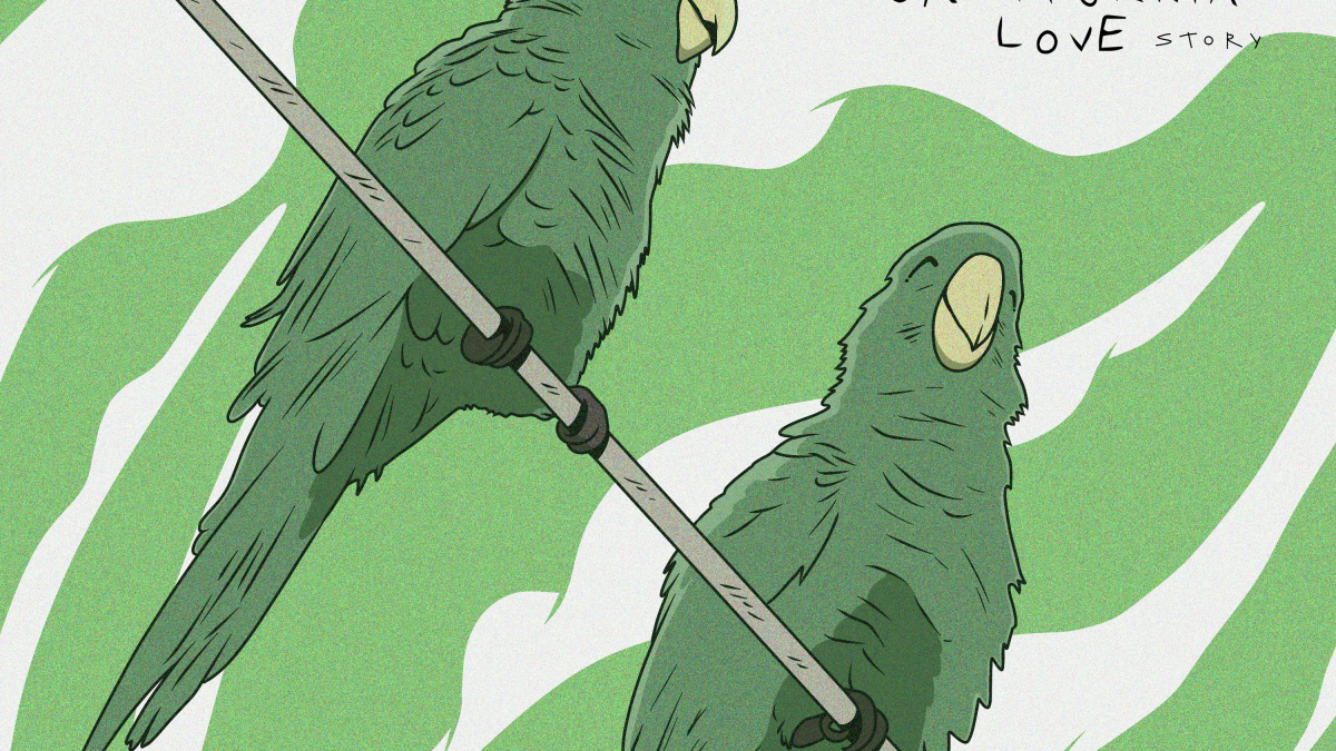 Parrots: A Parable | LAist