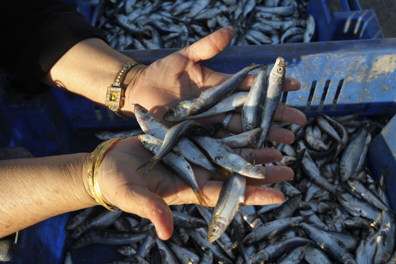 Palestinian fisherwoman shows the fish on sale along the sea front in the Deir al-Balah Palestinian refugee camp, central of Gaza Strip, on September 18, 2012.