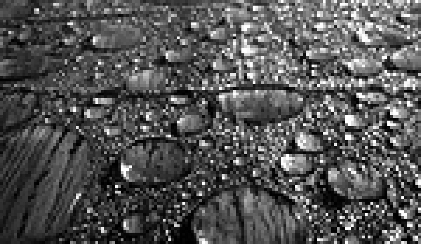 raindrops_wood.jpg