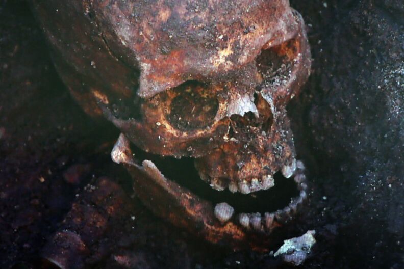 A television screen displays the skull what is believed to be King Richard III during a press conference at Leicester University on February 4, 2013 in Leicester, England. The University of Leicester has been carrying out scientific investigations on remains found in a car park to find out whether they are those of King Richard III since last September, when the skeleton was discovered in the foundations of Greyfriars Church, Leicester.  
