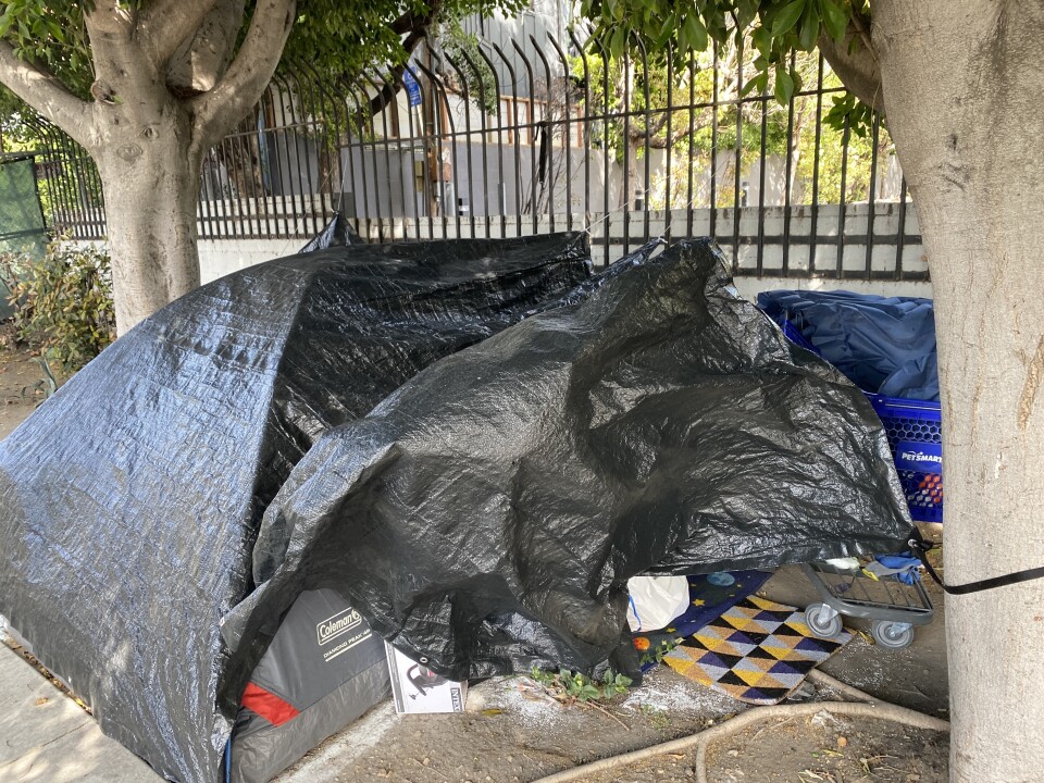 A makeshift tent covered in black tarp sits between two trees on a sidewalk against a fenced in parking lot.