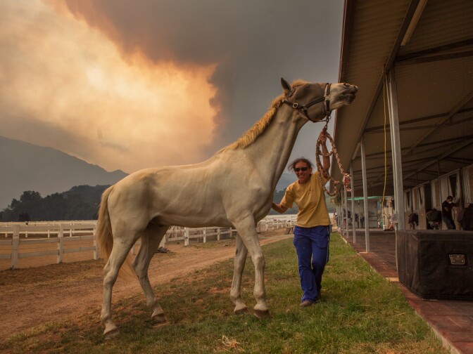 Lesly Vanderwhal waits to evacuate her horse from Shelburne Farms in Hidden Valley, Calif., on May 3, 2013, as the Springs Fire rages.