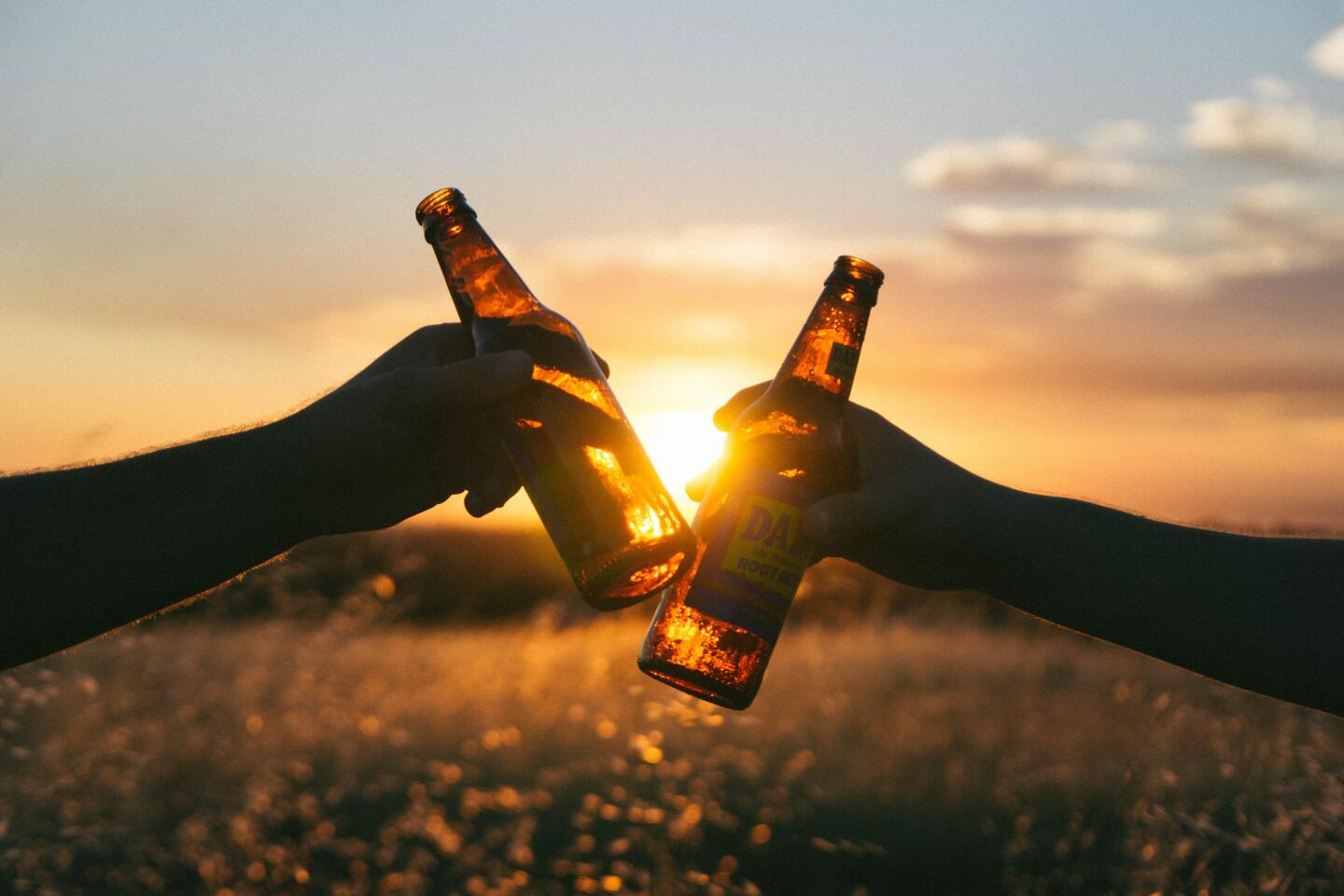 a silhouette of two hands clinking beer bottles against the setting sun