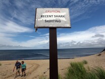 TRURO, MA - AUGUST 12:  People exit the beach near a "Recent Shark Sighting" sign near where a colony of several hundred seals often rest on a sandbar at High Head Beach on Cape Cod on August 12, 2012 in Truro, Massachusetts. A man was confirmed to have been bitten by a great white shark less than two weeks ago in the ocean near the shoreline of Truro in Cape Cod. An increase in the seal population on Cape Cod has led to increased shark sightings including great whites.  (Photo by Mario Tama/Getty Images)