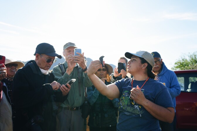 Tania Romero shows one of the birds to some fellow enthusiasts.