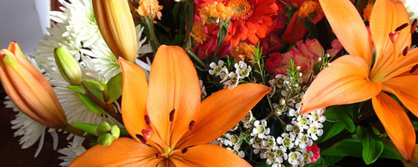 5b2bc6344488b3000926a4ed-original.jpg