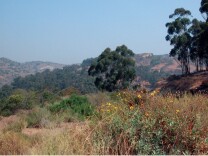 The Puente Hills Habitat Preservation Authority Preserve.