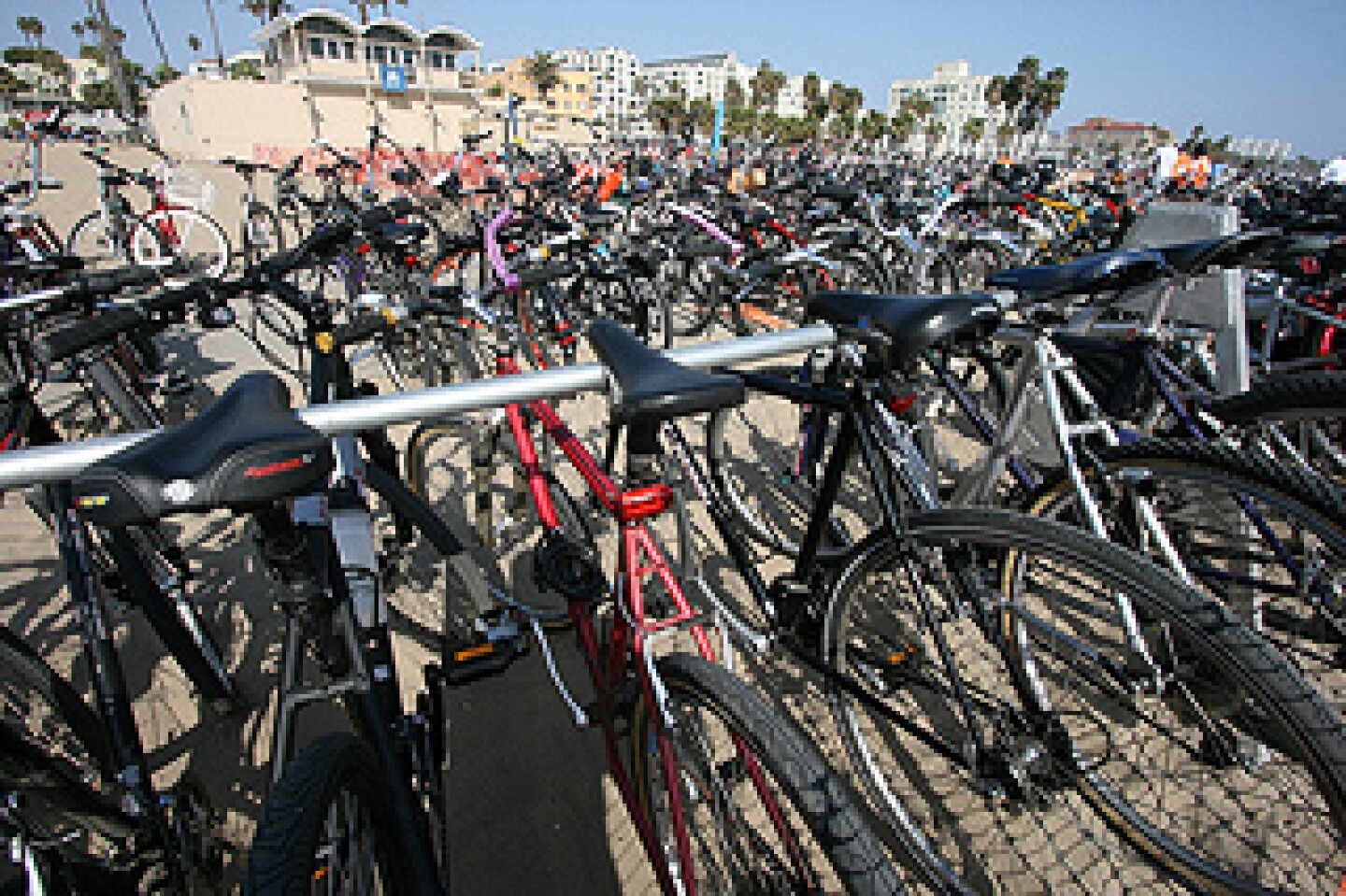 bikes_racks_SM.jpg