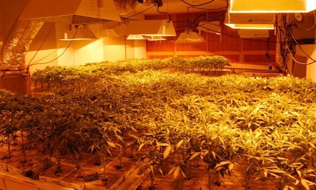 fontant-grow-house.jpg
