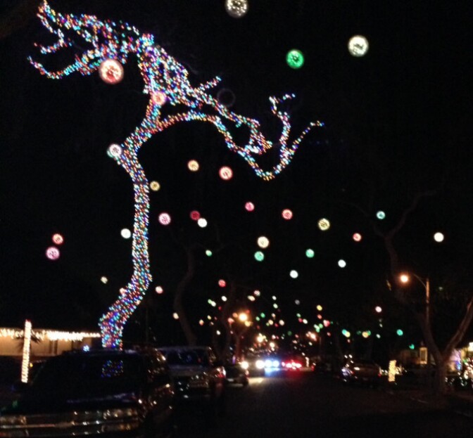 Balls of light hang from a tree. Another tree is decorated with lit string lights. 