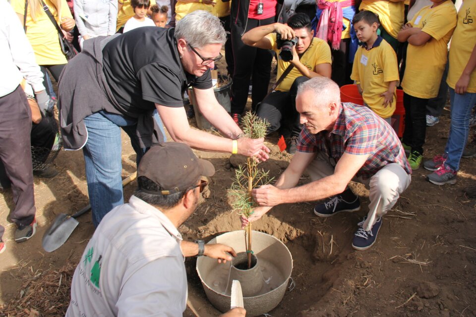 Councilman Mitch O'Farrell (R) helps plant a tree in Elysian Park using a Land Life Company "cocoon," a new technology the city is testing to see if it can improve the survival rate of new trees.