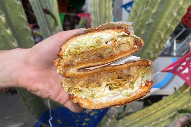 A light-skinned hand holds two halves of a sandwich stacked on top of each other. The sandwich contains ground brown meat mixed with cooked potatoes, shredded pale green lettuce, and crumbled white cheese, all inside a round bun. In the background, there is a large green succulent plant.