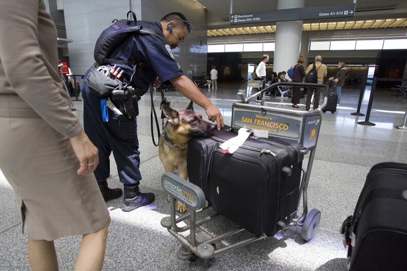 An officer with a German shepherd dog inspecting a large suitcase on a luggage cart.