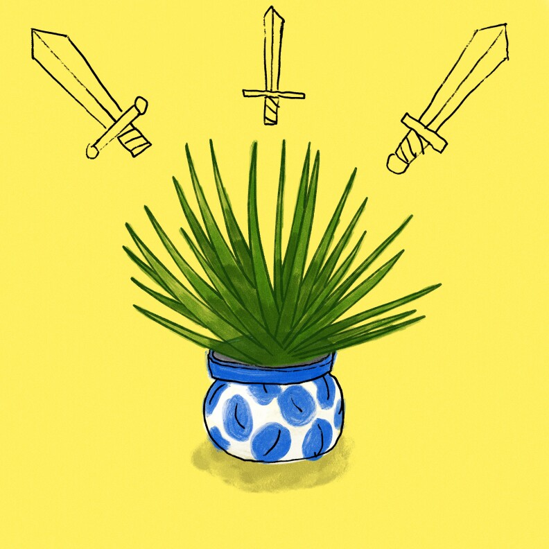 individual plant 03 crop 02.jpg