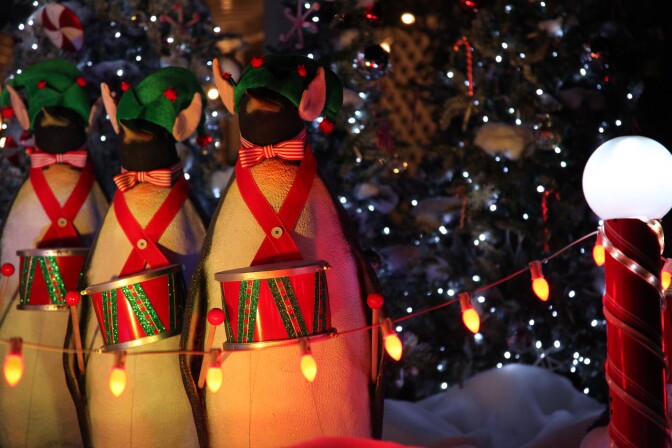 "The penguins are dressed up differently every year," says Pepy. "This year they're elves." 